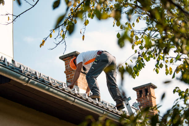 Best Roof Repair Services  in Litchfield, MI