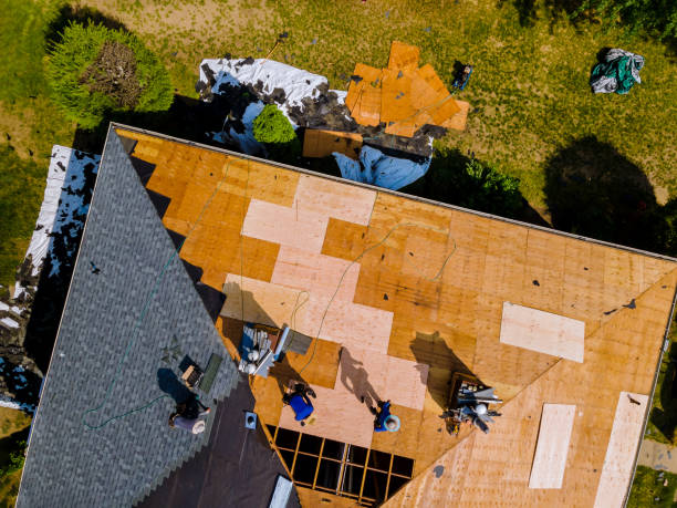 Best Metal Roofing Contractor  in Litchfield, MI