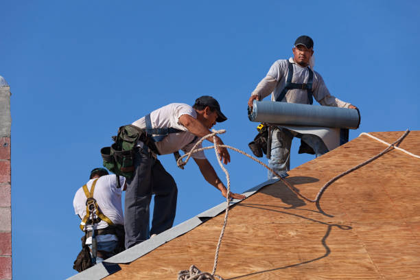 Best Shingle Roofing Installation  in Litchfield, MI
