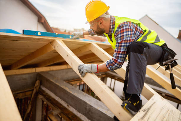 Best Shingle Roofing Installation  in Litchfield, MI
