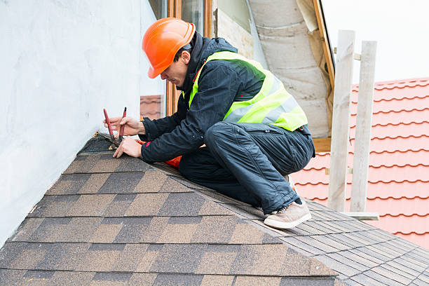 Best Affordable Roofing Company  in Litchfield, MI
