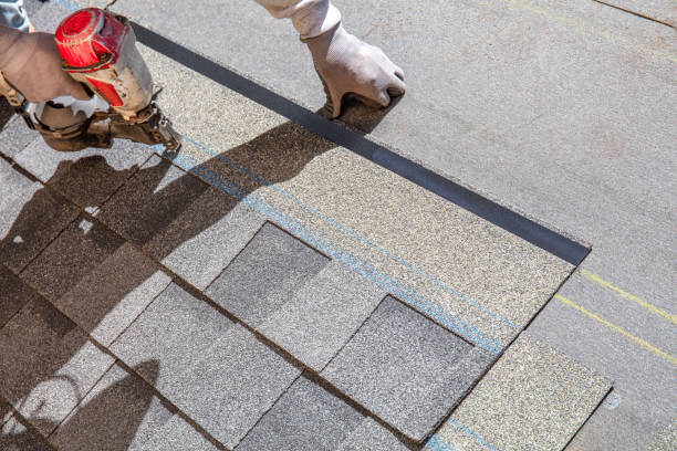 Best Roof Waterproofing Services  in Litchfield, MI
