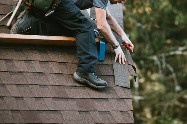 Best Commercial Roofing Services  in Litchfield, MI